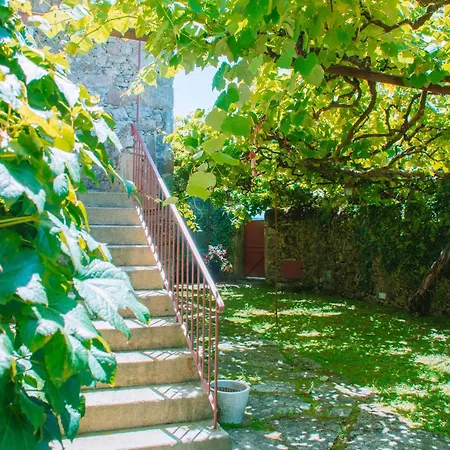 Just Like - Casa Do Cruzeiro * Moledo